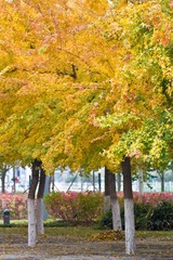 IMG_2080.jpg