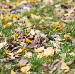 IMG_2099.jpg