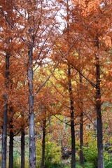 IMG_2169.jpg