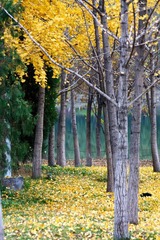 IMG_2175.jpg