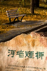 IMG_2316.jpg