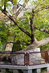 IMG_2319.jpg