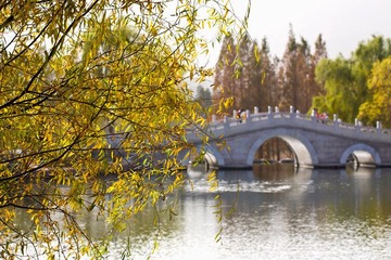 IMG_2350.jpg
