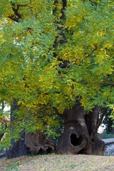 IMG_2401.jpg