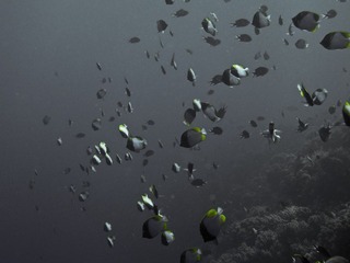 离散数学.jpg