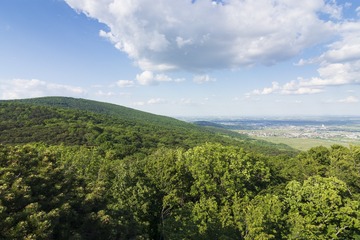 153539