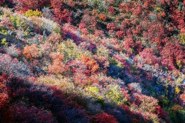 _B1A5777