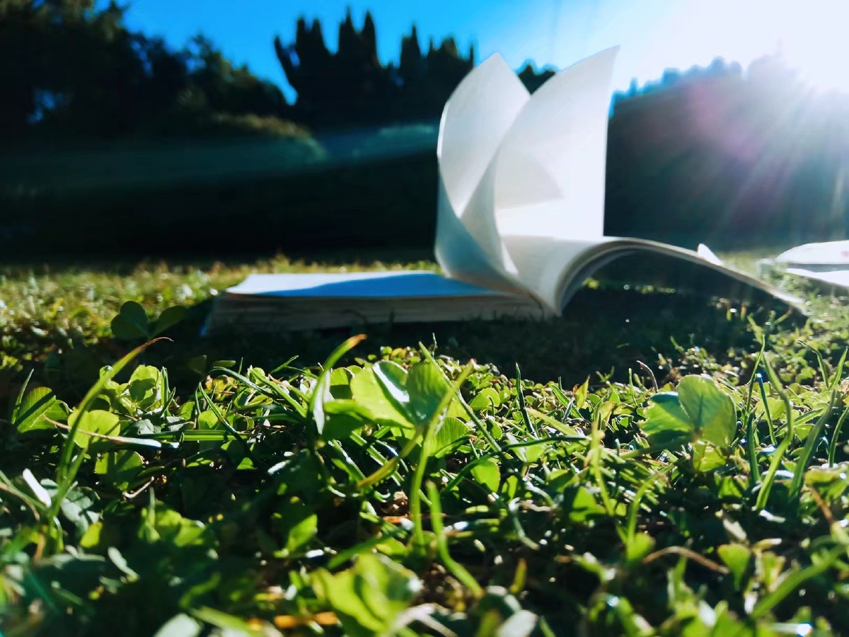 午后的阳光总能给人一种很舒服的感觉.