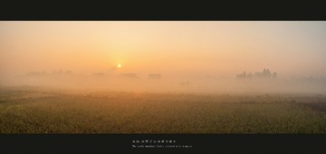 晨雾2x
