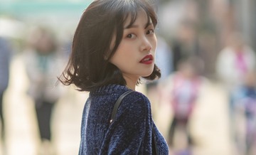 2604147