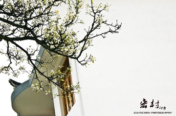 IMG_1439.jpg