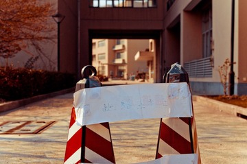 IMGP9831.jpg