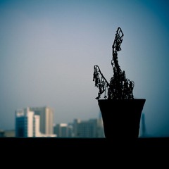 IMGP0170.jpg