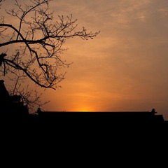 IMGP0265-3.jpg