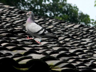 DSCN4911.JPG