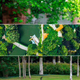 9张夏雨荷6张我把温柔设置成了仅你可见清晨路上看