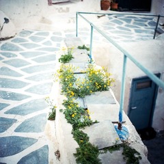 20120926001.jpg