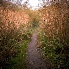 2012101003.jpg