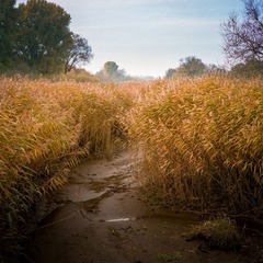 2012101004.jpg