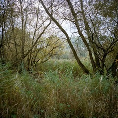 2012101009.jpg