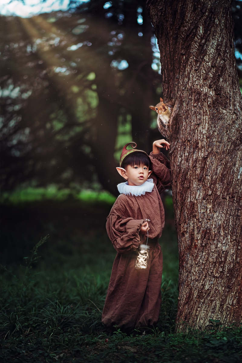 森林精灵服装树做红棕效果松鼠溶图进去背景压暗做手提灯光线和背景