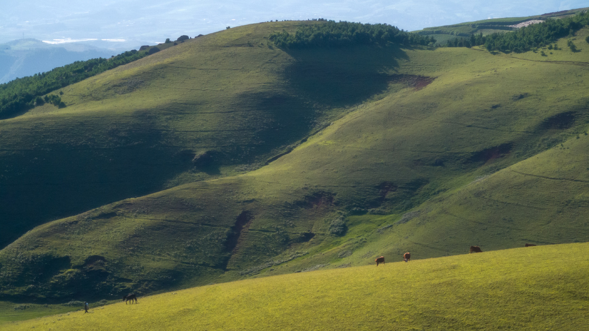 离天很近离城很远昆明寻甸高山草甸华为p30pro拍摄