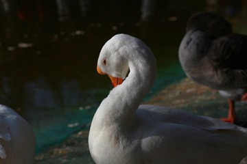 2011 01 03 273