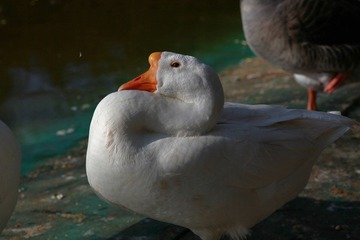 2011 01 03 272