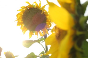 E4ECDCB0-14A2-42C9-B192-E191D21F75FA/L0/001