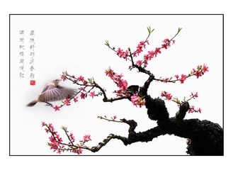9D8BC692-240B-4E30-A85E-C4119A1994B9/L0/001