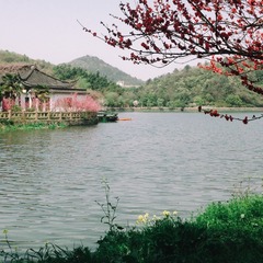 004D7BB8-331F-4C89-819C-018C781DD741/L0/001
