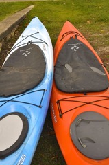 DSC_5017.jpg