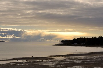 DSC_4994.jpg