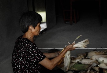 IMGP3503-1