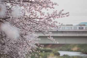 D288B343-39F8-44AB-84B6-ED5AECD7F78F/L0/001
