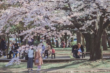 DC28CC6E-4121-49CE-9EE3-5644C12C39B1/L0/001
