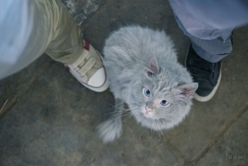 1b8c033f-992c-42bd-be19-a8ea14304c01