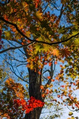 09dc9508-8723-42b6-a517-1ec30784d1cd