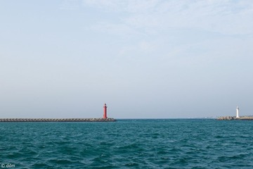 39515b39-24a1-438e-960f-c949f8ccbb56