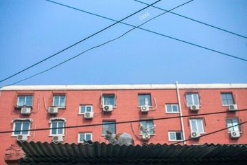 牛街暴走-8