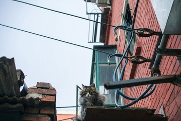 牛街暴走-9