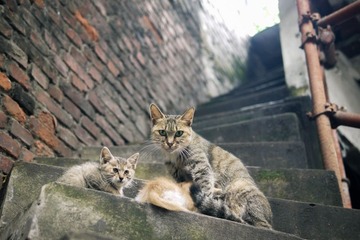 牛街暴走-28