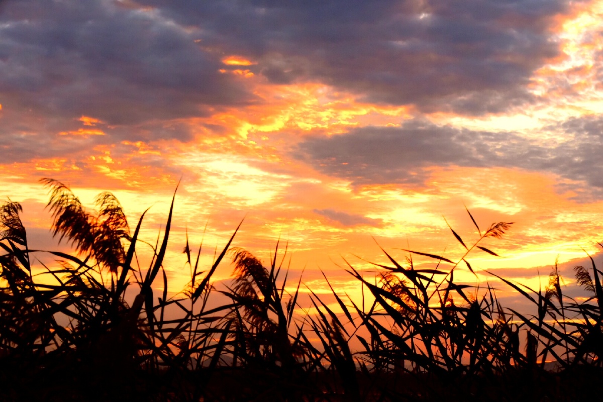 流云似火 - 军旅者565 - 图虫网 - 优质摄影师交流社区