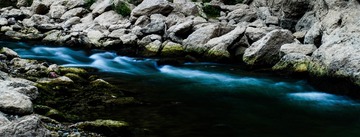 DSC05879-2