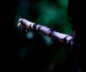 _DSC2127