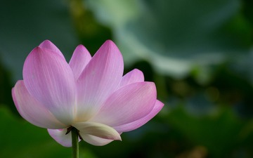 _DSC2475