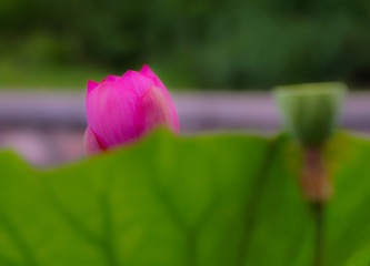 DSC00856-2