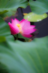 DSC00857-2