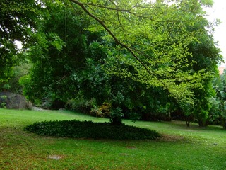 DSCF9426.JPG
