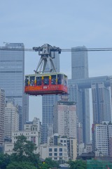 295076